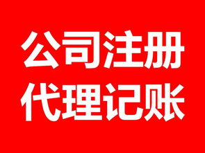發(fā)票與稅務(wù)代理服務(wù) 企業(yè)合規(guī)經(jīng)營的得力助手